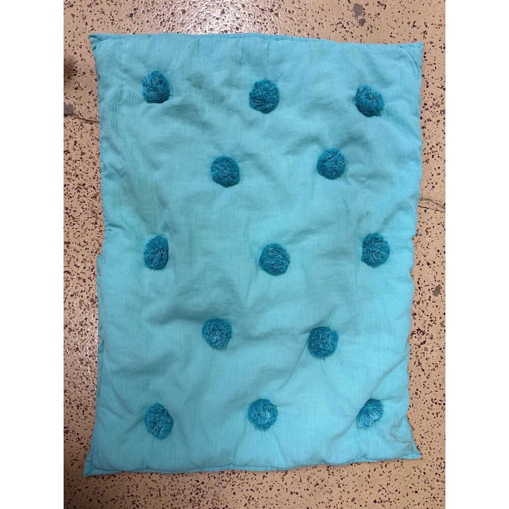 pottery barn pom pom pillow sham in green standard